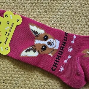 PINK CHIHUAHUA SOCKS SIZE 9-11